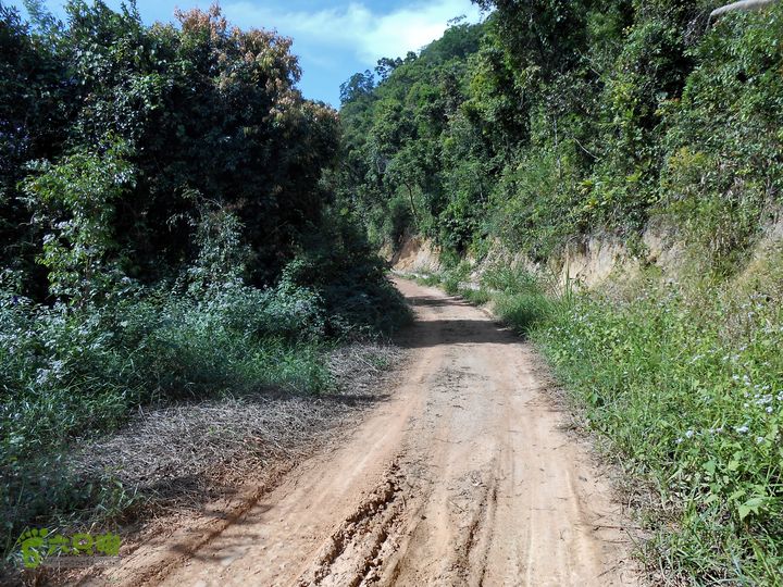 20130105--三亚福万岭山地骑行--大坡度碎石路DSCN2986