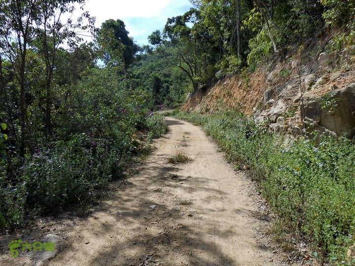 20130105--三亚福万岭山地骑行--大坡度碎石路DSCN2991