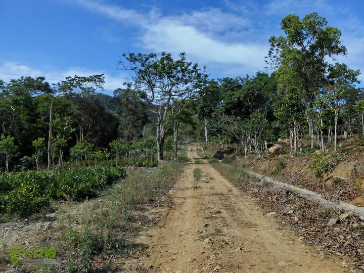 20130105--三亚福万岭山地骑行--大坡度碎石路DSCN2992