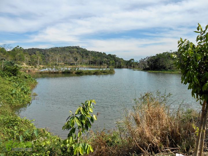 20130105--三亚福万岭山地骑行--大坡度碎石路DSCN2995