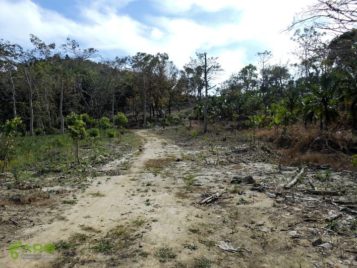 20130105--三亚福万岭山地骑行--大坡度碎石路DSCN2996