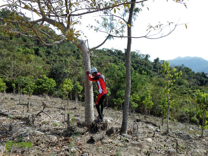 20130105--三亚福万岭山地骑行--大坡度碎石路“战神” 爬树，观风景！