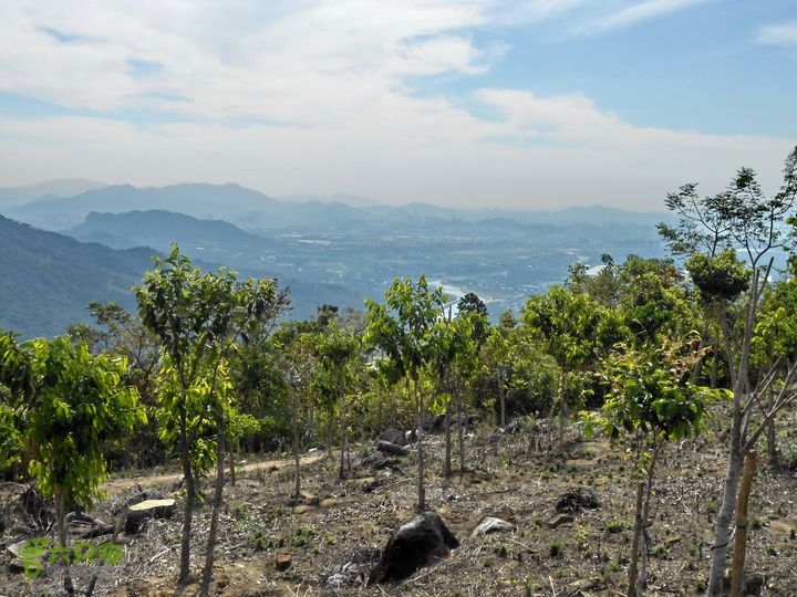 20130105--三亚福万岭山地骑行--大坡度碎石路DSCN3002