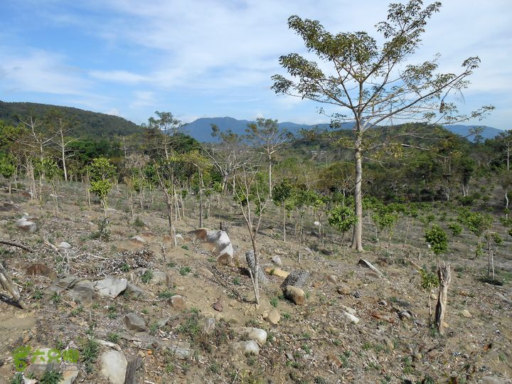 20130105--三亚福万岭山地骑行--大坡度碎石路DSCN3010