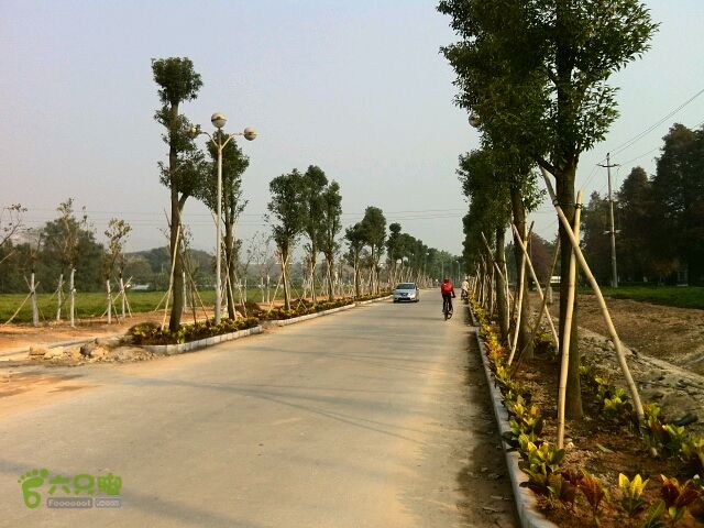 绕深圳水库绿道骑行一圈深圳水库坝下的新建绿道，两侧种上名贵的香樟树