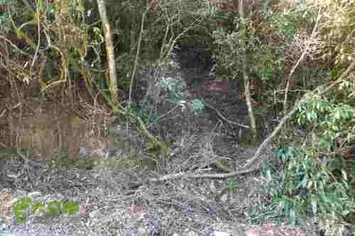 大洛—宝山—锣钹顶—洋溪照片 163