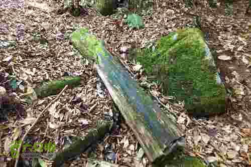 大洛—宝山—锣钹顶—洋溪照片 180