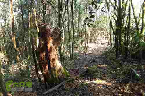 大洛—宝山—锣钹顶—洋溪照片 187