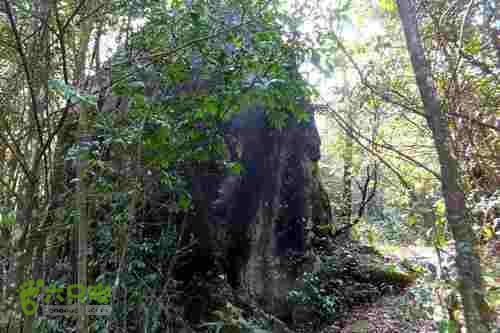 大洛—宝山—锣钹顶—洋溪照片 196