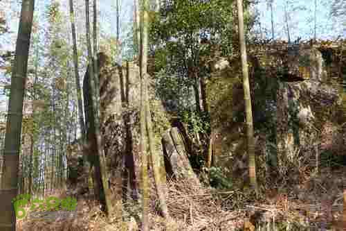 大洛—宝山—锣钹顶—洋溪照片 204