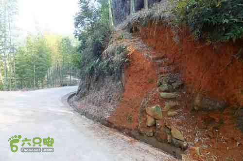 大洛—宝山—锣钹顶—洋溪照片 210