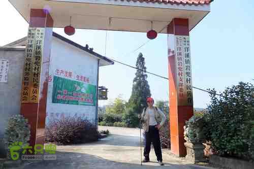 大洛—宝山—锣钹顶—洋溪照片 222