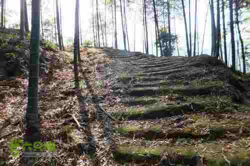 大洛—宝山—锣钹顶—洋溪照片 231