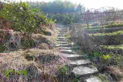 大洛—宝山—锣钹顶—洋溪照片 237