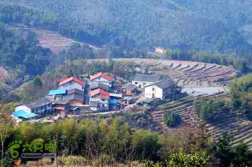 大洛—宝山—锣钹顶—洋溪照片 245