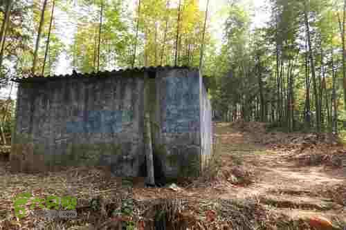 大洛—宝山—锣钹顶—洋溪照片 250