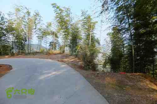 大洛—宝山—锣钹顶—洋溪照片 266