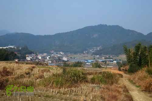 大洛—宝山—锣钹顶—洋溪照片 278