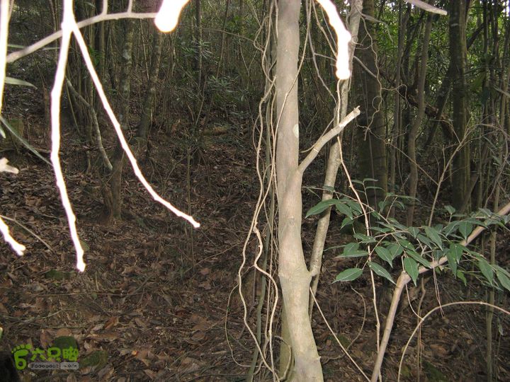 下院-勇路-梅里-石碑林-涌泉寺-古栈道-绝顶峰(上)124_眸目压缩