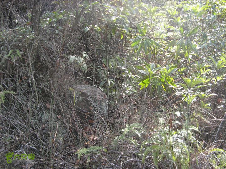 下院-勇路-梅里-石碑林-涌泉寺-古栈道-绝顶峰(上)125_眸目压缩