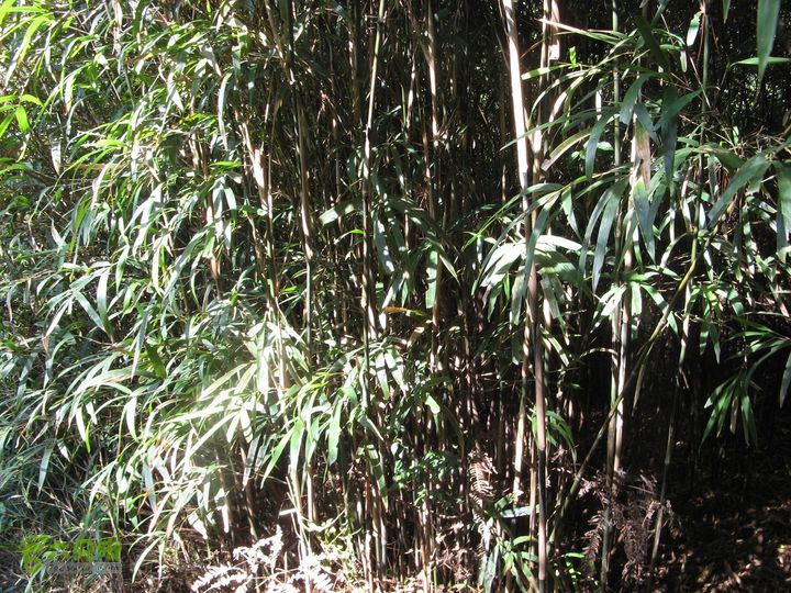 下院-勇路-梅里-石碑林-涌泉寺-古栈道-绝顶峰(下) 320_眸目压缩