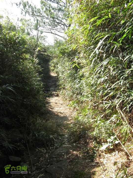 下院-勇路-梅里-石碑林-涌泉寺-古栈道-绝顶峰(下) 326_眸目压缩