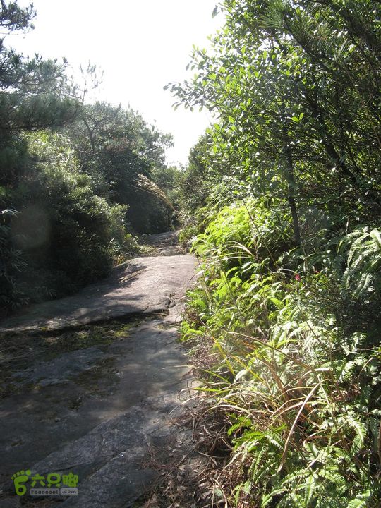 下院-勇路-梅里-石碑林-涌泉寺-古栈道-绝顶峰(下) 330_眸目压缩