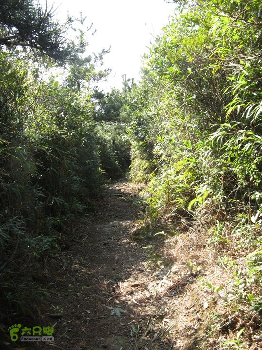 下院-勇路-梅里-石碑林-涌泉寺-古栈道-绝顶峰(下) 335_眸目压缩
