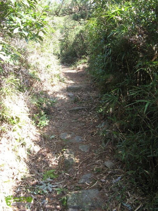 下院-勇路-梅里-石碑林-涌泉寺-古栈道-绝顶峰(下) 337_眸目压缩