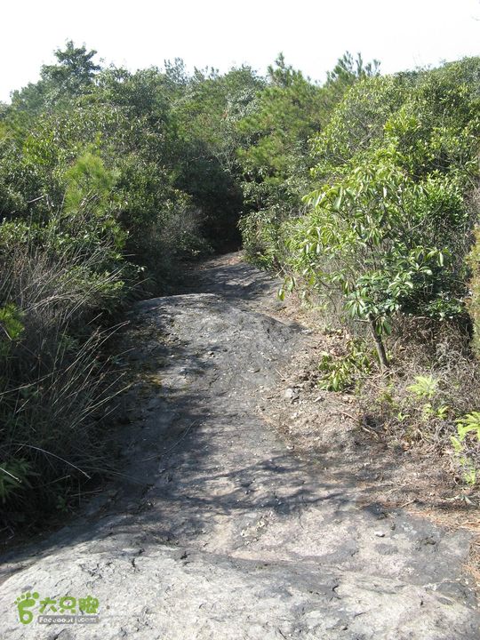 下院-勇路-梅里-石碑林-涌泉寺-古栈道-绝顶峰(下) 339_眸目压缩