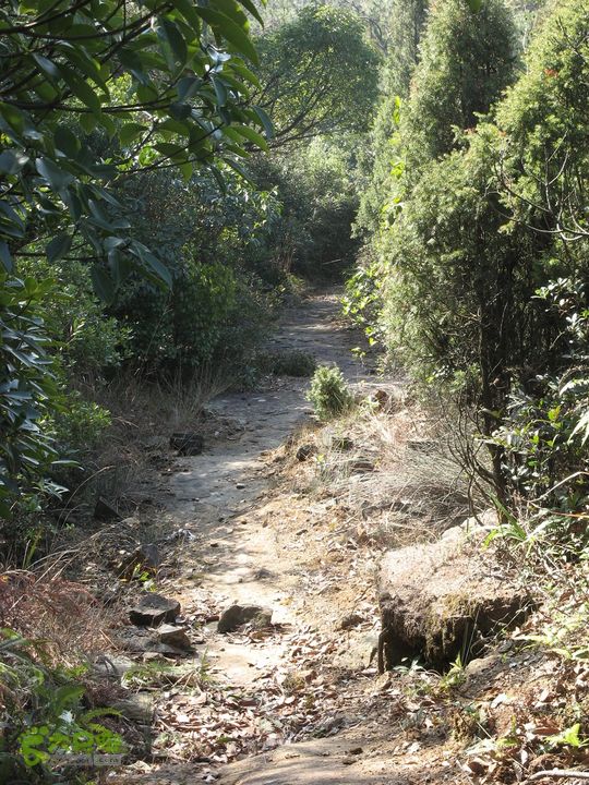 下院-勇路-梅里-石碑林-涌泉寺-古栈道-绝顶峰(下) 345_眸目压缩