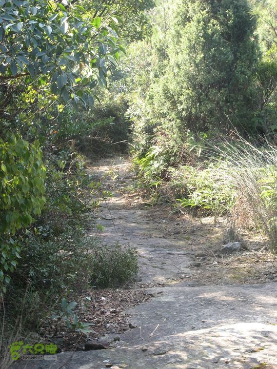 下院-勇路-梅里-石碑林-涌泉寺-古栈道-绝顶峰(下) 346_眸目压缩