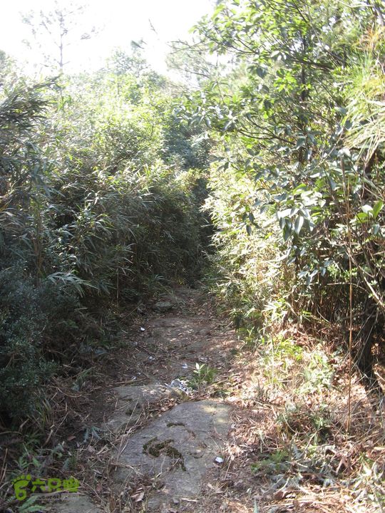 下院-勇路-梅里-石碑林-涌泉寺-古栈道-绝顶峰(下) 352_眸目压缩