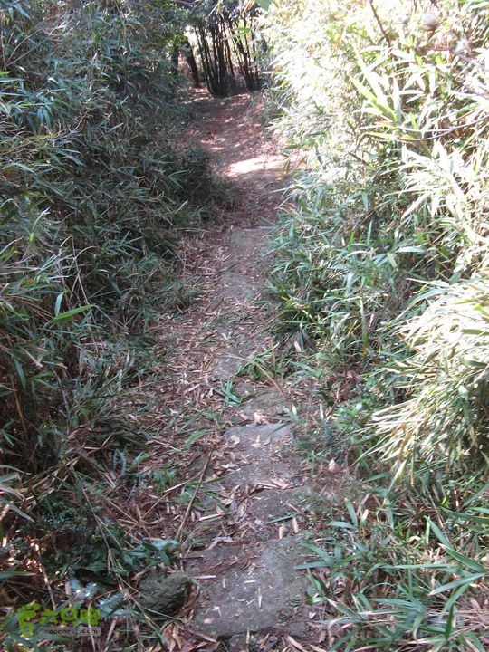 下院-勇路-梅里-石碑林-涌泉寺-古栈道-绝顶峰(下) 353_眸目压缩