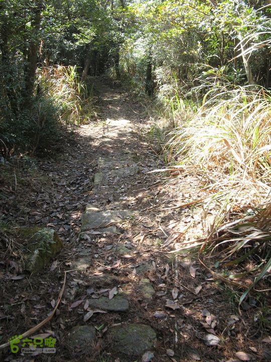 下院-勇路-梅里-石碑林-涌泉寺-古栈道-绝顶峰(下) 356_眸目压缩