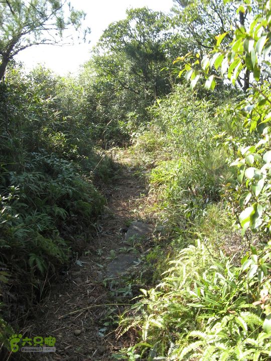 下院-勇路-梅里-石碑林-涌泉寺-古栈道-绝顶峰(下) 364_眸目压缩