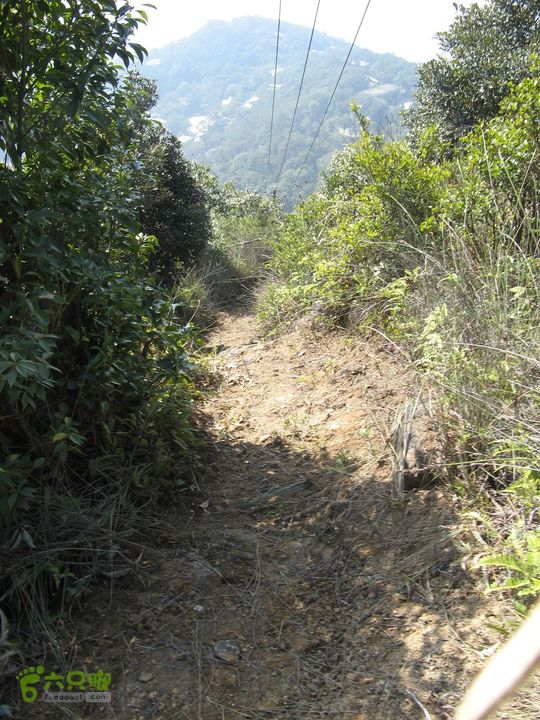 下院-勇路-梅里-石碑林-涌泉寺-古栈道-绝顶峰(下) 373_眸目压缩