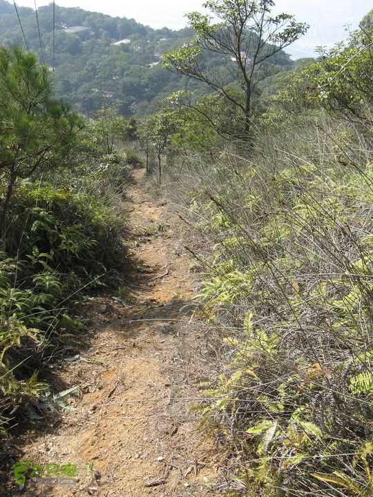 下院-勇路-梅里-石碑林-涌泉寺-古栈道-绝顶峰(下) 388_眸目压缩