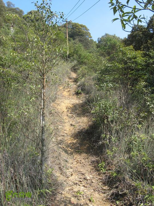下院-勇路-梅里-石碑林-涌泉寺-古栈道-绝顶峰(下) 389_眸目压缩