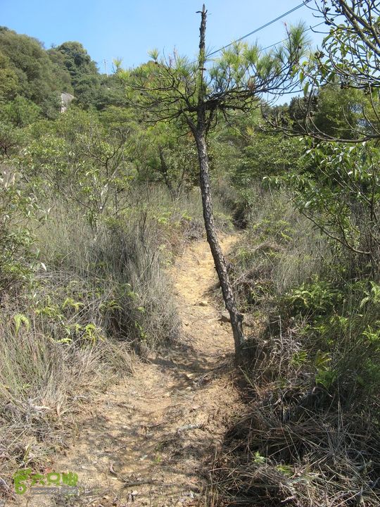 下院-勇路-梅里-石碑林-涌泉寺-古栈道-绝顶峰(下) 391_眸目压缩