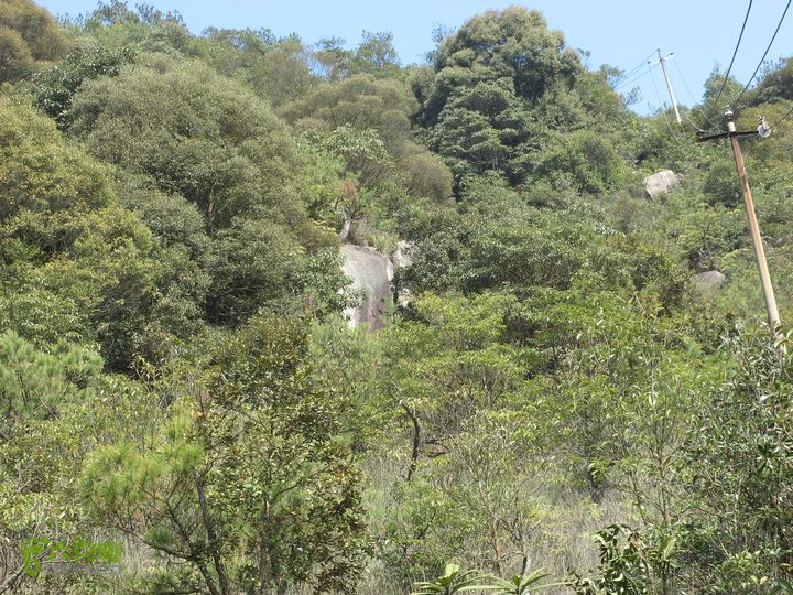 下院-勇路-梅里-石碑林-涌泉寺-古栈道-绝顶峰(下) 393_眸目压缩