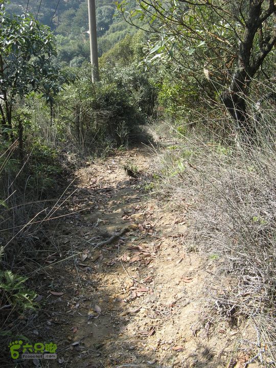 下院-勇路-梅里-石碑林-涌泉寺-古栈道-绝顶峰(下) 397_眸目压缩