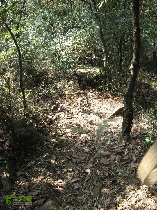 下院-勇路-梅里-石碑林-涌泉寺-古栈道-绝顶峰(下) 402_眸目压缩