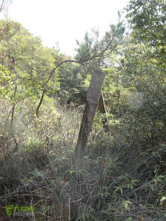 下院-勇路-梅里-石碑林-涌泉寺-古栈道-绝顶峰(下) 403_眸目压缩