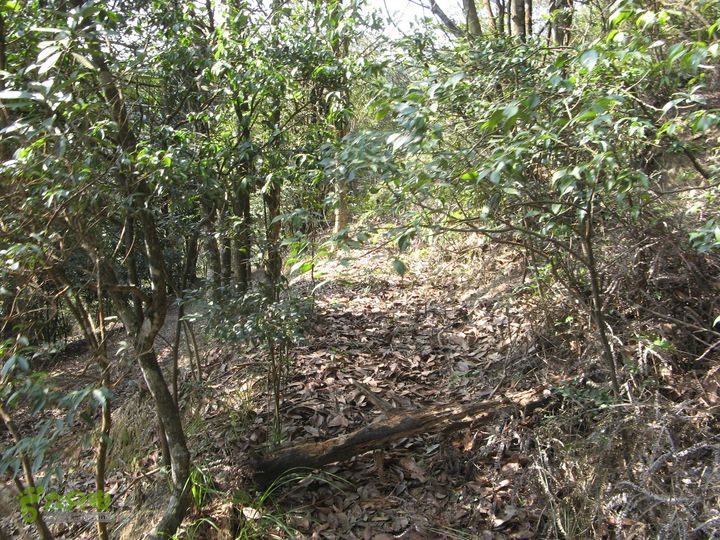 下院-勇路-梅里-石碑林-涌泉寺-古栈道-绝顶峰(下) 406_眸目压缩