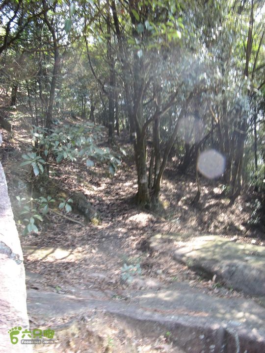 下院-勇路-梅里-石碑林-涌泉寺-古栈道-绝顶峰(下) 409_眸目压缩