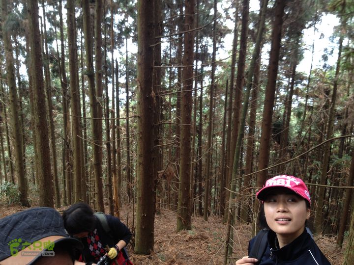 明月山景区南惹-武功山-和尚石-垭口-十八窝-水口穿越IMG_1858