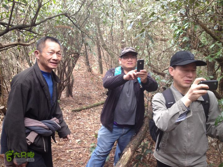 明月山景区南惹-武功山-和尚石-垭口-十八窝-水口穿越IMG_1878