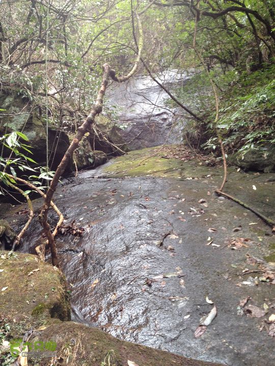 明月山景区南惹-武功山-和尚石-垭口-十八窝-水口穿越IMG_1892