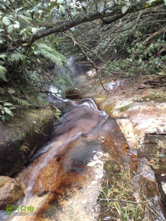 明月山景区南惹-武功山-和尚石-垭口-十八窝-水口穿越IMG_1900